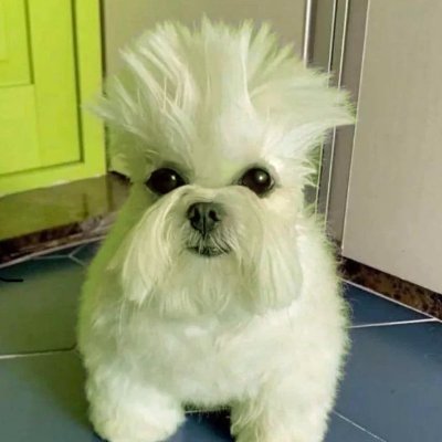 myths_and_stori's profile picture