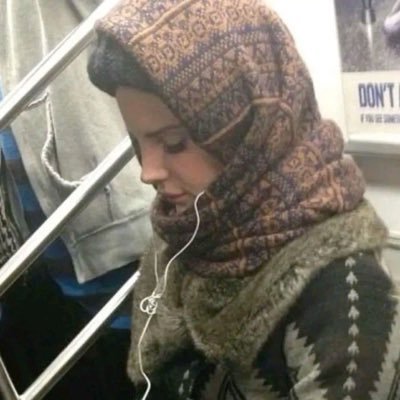 porceaincrows's profile picture