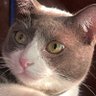 Profilbild von Jawsnbark