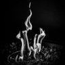 Фото профиля William King III