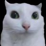 Profilbild von Y