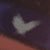 Profilbild von らふ
