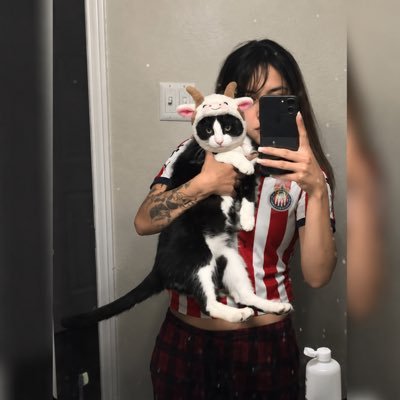 GatoGatus's profile picture