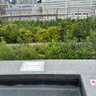 Фото профиля 支持なし