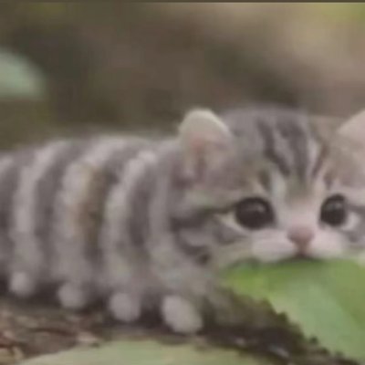 Mkeit101's profile picture
