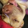inryo's profile picture