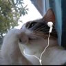 أنا profil fotoğrafı
