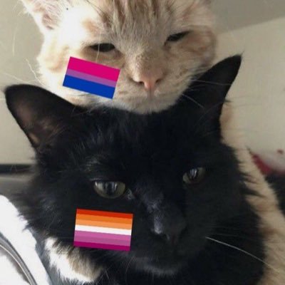 bisexualgirlq's profile picture