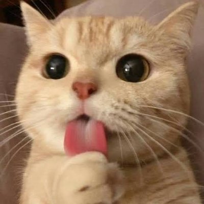 zainabsamir111's profile picture