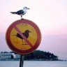 Otieno Omondi. profil fotoğrafı