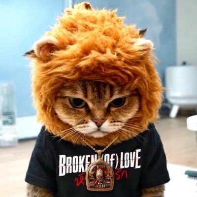 junie_bp's profile picture