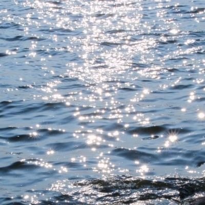 🌊's profile picture