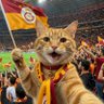 Reisicimbom ⭐️⭐️⭐️⭐️⭐️'s profile picture