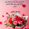Фото профиля Amjad