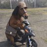 Zinof Kolano's profile picture