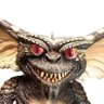 Фото профиля Tim