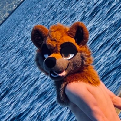 CelloRacc's profile picture