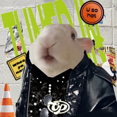 OygRabbit's profile picture