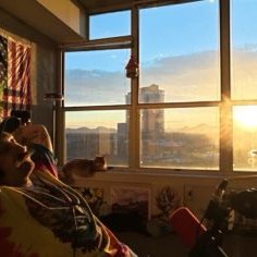 The VibeDealer's profile picture