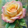 Фото профиля mina