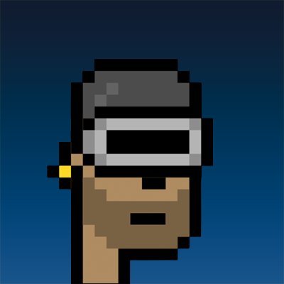 ArcPunksNFT's profile picture