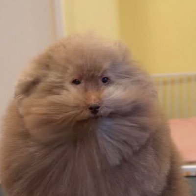 Alex's profile picture