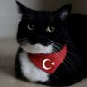 Profilbild von kebab🇹🇷