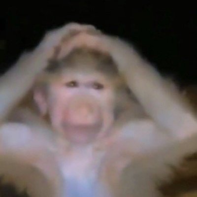 𝓣𝓲𝓶𝓮𝓼®'s profile picture