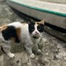 &&& profil fotoğrafı