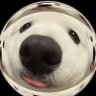 2teeXpipp 的头像