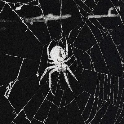 darkw0b's profile picture