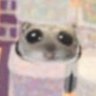 Profilbild von ユズピ