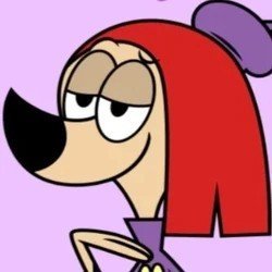 Acervo Róquete Spaniel 🕧's profile picture