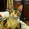 karim profil fotoğrafı