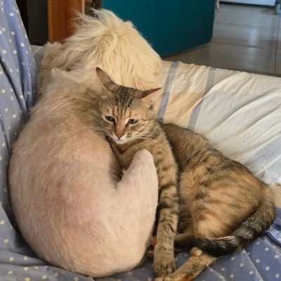 Nurcan Başkavak's profile picture