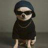 Profilbild von ARDI