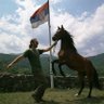Денис Антић profil fotoğrafı