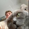 Profilbild von shriek