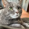 🌻💙Rhonda💛🌻 profil fotoğrafı