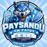 Paysandu em Fatos profil fotoğrafı