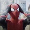 WebsOfReason's profile picture