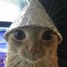 mari's profile picture