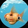 Фото профиля Nemo🐡