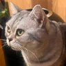 Profilbild von Y