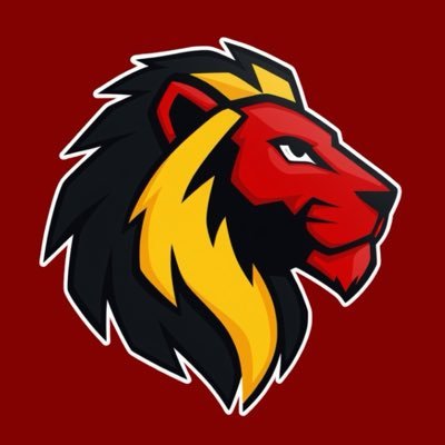 SignalFootBE's profile picture