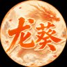 龙葵's profile picture