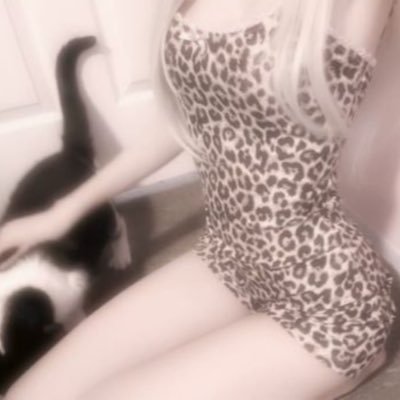 kitmeii's profile picture