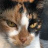 Фото профиля Michaela😺💖