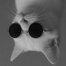 Profilbild von Nouf