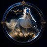 غلا العبدالله's profile picture